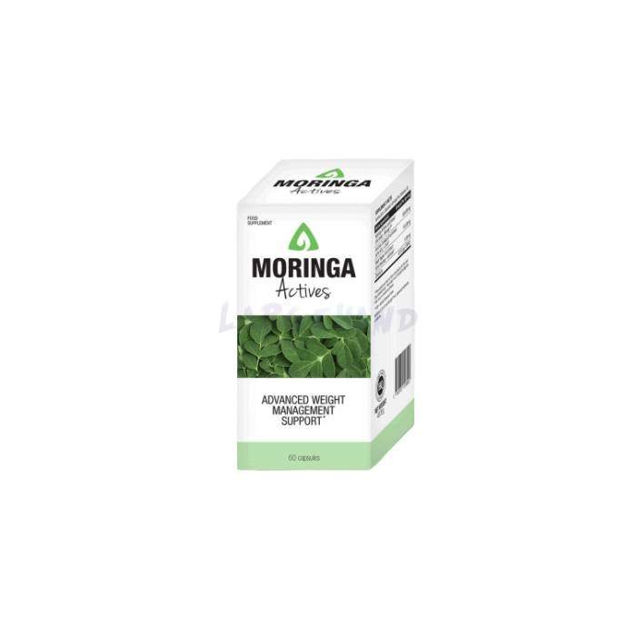 Moringa Actives In Egypt