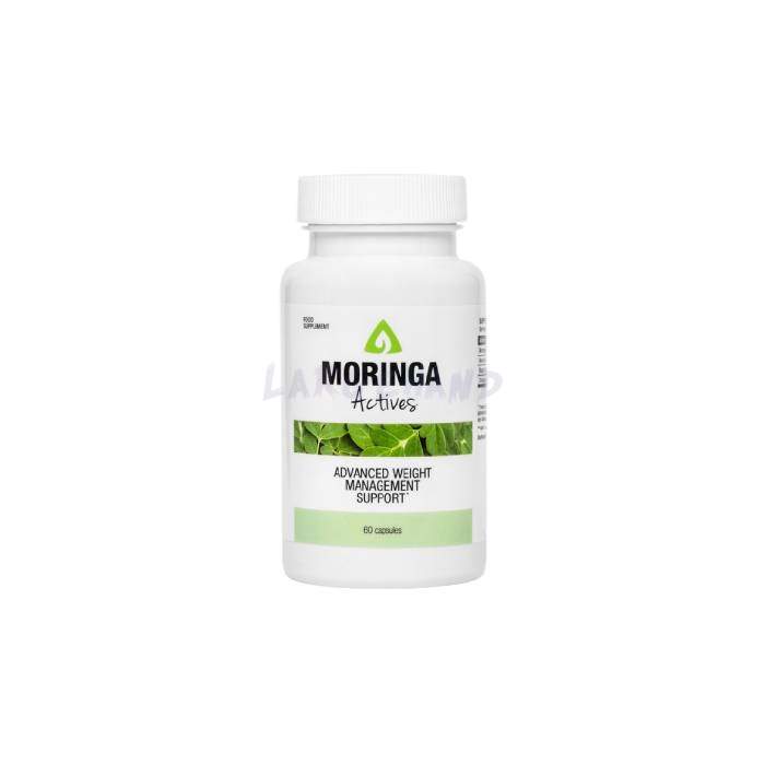 Moringa Actives In Egypt